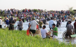 Sau tiếng hú lớn, hàng nghìn người tay nơm, tay lưới ào xuống đầm Vực bắt cá