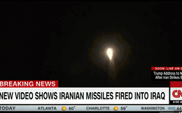 Đại tá tên lửa Việt Nam: Iran "là Gấu, không phải Thỏ" - TT Trump dù rất khác thường cũng toát mồ hôi lạnh