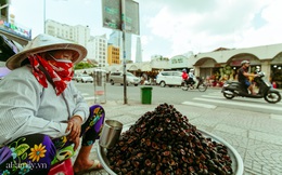 Hàng ốc xào kỳ lạ nhất Sài Gòn chỉ bán 1 món suốt 2 đời, giá tận 120k/lon ốc "toàn nhà giàu hay giới sành ăn mới dám mua" ship thẳng luôn sang Mỹ
