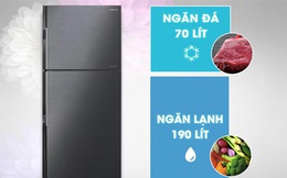 4 mẫu tủ lạnh Inverter siêu tiết kiệm điện lại cực bền trong khoảng giá 8 triệu đáng mua cho các gia đình