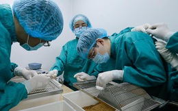 Vắc xin Covid-19 "made in Việt Nam" sắp thử nghiệm trên người có gì đặc biệt?