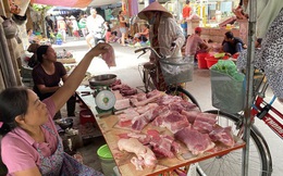 9.000 con lợn sống Thái Lan về Việt Nam bán ở đâu?