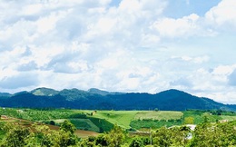 Nở rộ xu hướng 'săn' đất làm nhà vườn