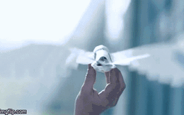 Siêu ấn tượng robot vỗ cánh bay như chim thật