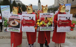 Tổ chức đám tang giả để phản đối 'ngày ăn thịt chó' tại Hàn Quốc