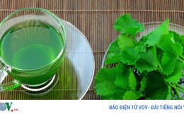 Hướng dẫn chữa viêm dạ dày bằng rau mùi tây