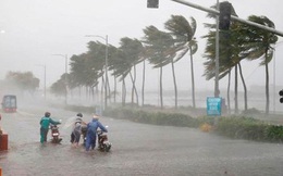 Biển Đông sắp đón áp thấp nhiệt đới có thể gây mưa dông lớn trên đất liền