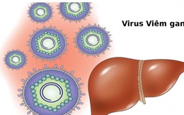 Việt Nam đang nằm trong vùng có tỷ lệ lây nhiềm virus viêm gan cao nhất