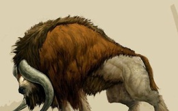 Bò rừng Kỷ Băng hà "sống dậy" sau 9.300 năm ngủ sâu dưới lớp băng vĩnh cửu