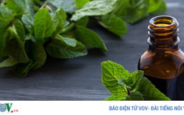 9 tác dụng phụ nguy hiểm của dầu bạc hà