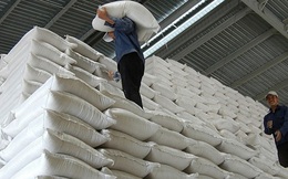 Tổng cục Dự trữ nói gì trước thông tin mua 'hụt' chỉ tiêu gạo?