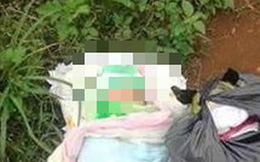 Đà Nẵng: Một trẻ sơ sinh bị bỏ rơi, tử vong thương tâm trước cổng chùa