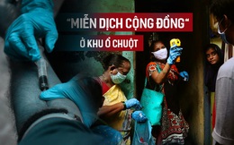 Miễn dịch cộng đồng không cần vaccine: Điều đáng lo ngại từ nghiên cứu ở khu ổ chuột Ấn Độ