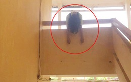 Đàn em khóa dưới háo hức vào xem ảnh review trường học, ai nấy "toát mồ hôi hột" khi nhìn vào chiếc bóng ở cầu thang