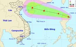 Áp thấp nhiệt đới khả năng mạnh thành bão sắp đổ bộ Biển Đông