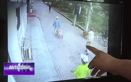 Cụ già bị mèo rơi trúng đầu bất tỉnh nhân sự, chó cưng giữ ngay 'thủ phạm' lại để giải quyết