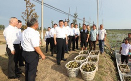 Trung Quốc: Gần 500 người bị nhiễm loại vi khuẩn nguy hiểm ở tỉnh chịu thiệt hại nặng do lũ lụt