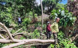 Vi phạm quản lý đất đai ở Kiên Giang: Nhiều lãnh đạo tỉnh xin 'rút kinh nghiệm'