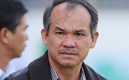 Hoàng Anh Gia Lai (HAGL): Chuyển từ lỗ sang có lãi ròng 107 tỷ sau soát xét, ban lãnh đạo khẳng định đủ khả năng hoạt động bình thường