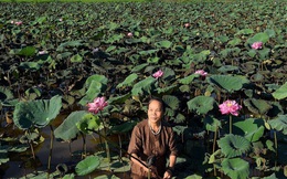 Báo Indonesia tôn vinh người phụ nữ đầu tiên mang tơ sen vào ngành dệt Việt Nam