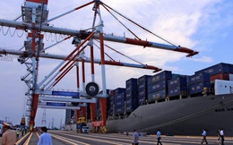 Phần đông doanh nghiệp Mỹ tại Trung Quốc không muốn rời đi bất chấp dọa dẫm từ Tổng thống