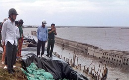 Dự án nâng cấp đê biển Tây ở Cà Mau: Lộ nhiều sai phạm