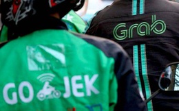 Softbank thúc ép Grab và Gojek sáp nhập?