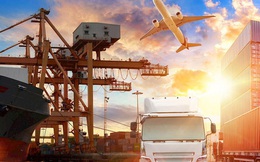 Nhà đầu tư EU muốn làm dự án logistics cảng biển gần 1 tỷ USD tại Việt Nam