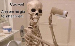 10 thứ không ai ngờ tới có thể thay thế giấy vệ sinh khi bạn lâm vào hoàn cảnh éo le trong toilet: Hết giấy
