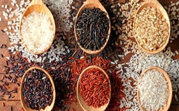 Chuyên gia Ấn Độ khuyên ngâm gạo trước khi nấu cơm: Những lợi ích bất ngờ và cách ngâm gạo đúng
