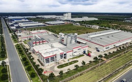 “Ông vua” ngành bia đầu tư 250 triệu USD, thuê 300 nhân sự Việt Nam sản xuất bia Budweiser, Beck’s và Hoegaarden phục vụ cả Đông Nam Á