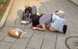 Hành động khó đỡ của các cô nàng khiến người xem cười té ghế