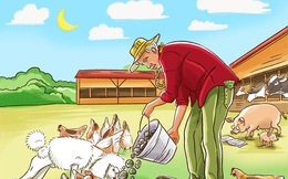 Thách thức thị giác 5 giây: Đố bạn phát hiện ra chi tiết sai trong bức tranh này