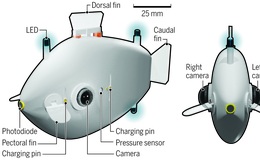 Cá robot - Phương tiện mới cho hoạt động cứu hộ trên biển