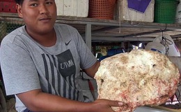 Thái Lan: Tưởng nhặt được đá, xem kỹ không ngờ là báu vật hàng tỷ đồng