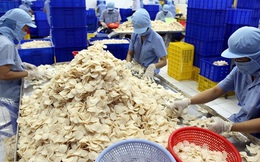 Thủy sản Vĩnh Hoàn hoàn tất mua lại 49,9% cổ phần bánh phồng tôm Sa Giang