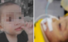 Gửi con cho bảo mẫu, cha mẹ chỉ dám đứng nhìn từ xa sợ đứa trẻ khóc để rồi 3 ngày sau đó phải hối hận muộn màng