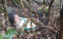 Phát hiện thi thể người đàn ông dưới vực sâu ở bán đảo Sơn Trà