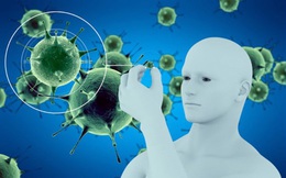 Khi hệ miễn dịch suy yếu, cơ thể sẽ gửi 5 tín hiệu "kêu cứu": Ai chủ quan sẽ dễ mang bệnh