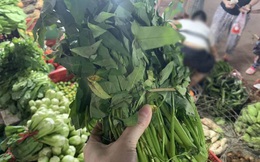 Hà Nội: Rau xanh tăng giá ‘chóng mặt’, đi chợ hoa mắt vì giá