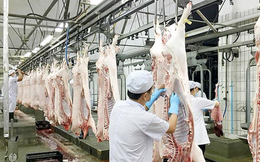 Giá lợn hơi giảm kỷ lục, Phó Thủ tướng yêu cầu làm rõ chi phí từng khâu