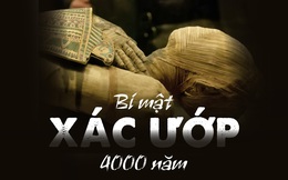 Phát hiện 'chấn động lịch sử' trong xác ướp 4.000 năm tuổi: Sử sách buộc phải viết lại!