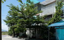 Gia đình 3 thế hệ ở Nha Trang sống trong ngôi nhà 77m2 ẩn mình giữa thiên nhiên, mang ký ức từ vùng cao nguyên về thành phố biển