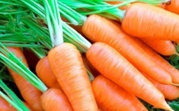 16 bài thuốc trị bệnh từ củ cà rốt