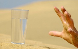 Trong sa mạc có 2 cốc nước, 1 ly nước tiểu ngựa và 1 ly nước bẩn, bạn sẽ chọn cái nào?