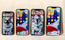 iPhone 13 xách tay chạm đáy, giảm giá hơn 10 triệu đồng sau gần 2 tháng về Việt Nam