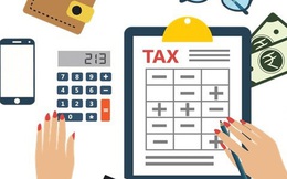 Chính sách mới về thuế, phí, lệ phí có hiệu lực từ tháng 12/2021
