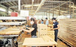 Xuất khẩu gỗ sang Trung Quốc tăng đột biến
