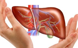 7 loại thực phẩm tốt nhất cho gan của bạn