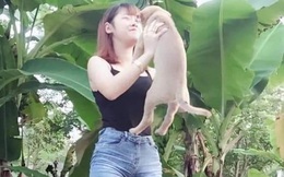 Lãnh đạo TP Hội An: "Thông tin cấm bán thịt chó, mèo là không đúng, không ai mà cấm được"